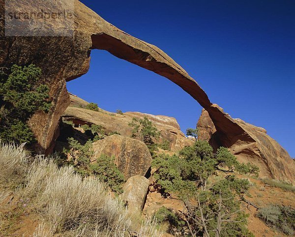 Vereinigte Staaten von Amerika  USA  Arches Nationalpark  Landscape Arch  Utah