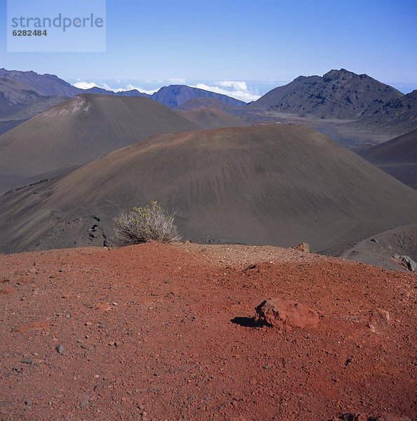 Vereinigte Staaten von Amerika  USA  Haleakala Nationalpark  Maui