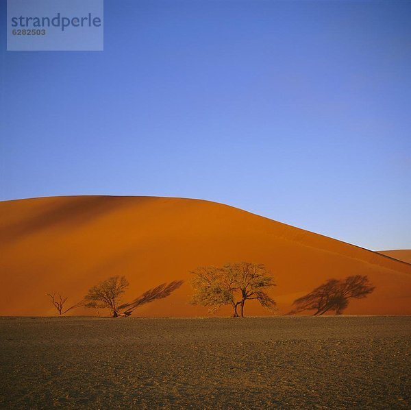 Namibia  Namib Naukluft Nationalpark