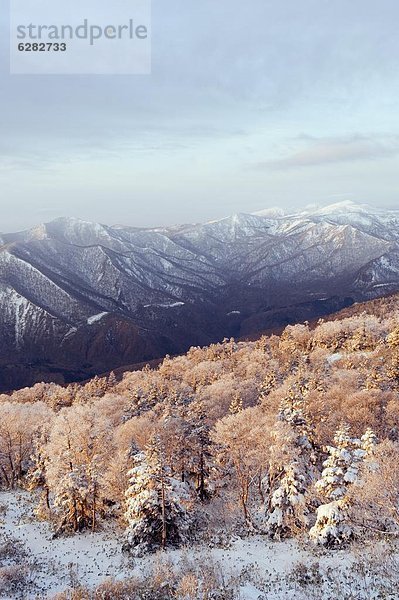 bedecken  über  Sonnenaufgang  Iwate  Asien  Hachimantai  Japan  Schnee