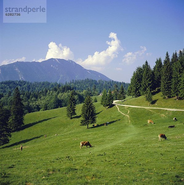 Berg  Ecke  Ecken  Wiese  Karpaten  Rumänien