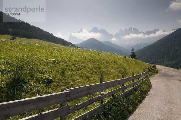 Trentino Südtirol Europa Dolomiten Italien