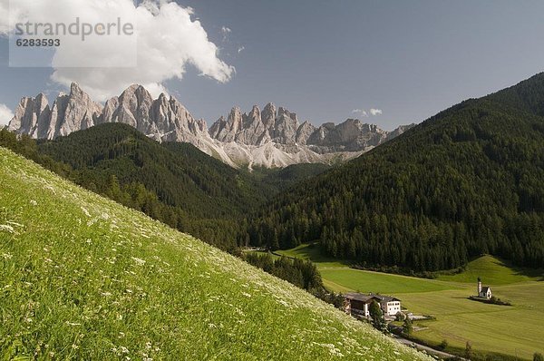 Trentino Südtirol Europa Dolomiten Italien