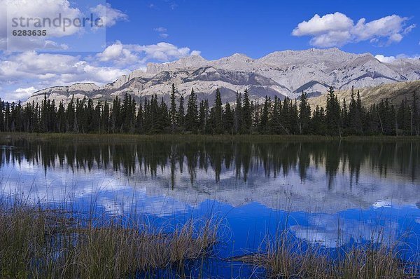 Nordamerika  Rocky Mountains  Jasper Nationalpark  UNESCO-Welterbe  Alberta