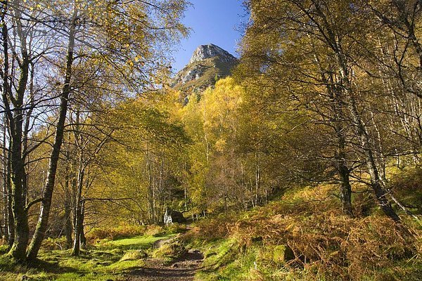 Europa  Berggipfel  Gipfel  Spitze  Spitzen  Großbritannien  Weg  Herbst  Ansicht  vorwärts  See  Big Ben  Schottland  Stirling