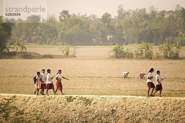 Ecke  Ecken  gehen  vorwärts  UNESCO-Welterbe  Asien  Deich  Indien  Westbengalen