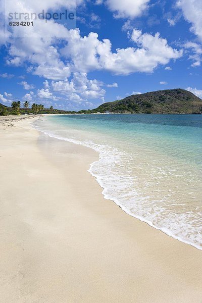 Strand Süden Karibik Westindische Inseln Mittelamerika Landschildkröte Schildkröte Leeward Islands Halbinsel