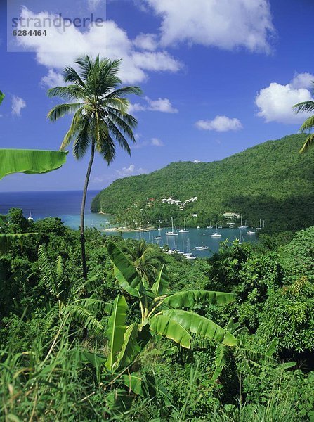 Karibik  Westindische Inseln  Mittelamerika  Luciafest  Marigot Bay  Windward Islands