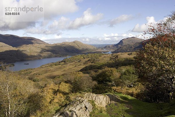 Europa  Kerry County  Killarney Nationalpark