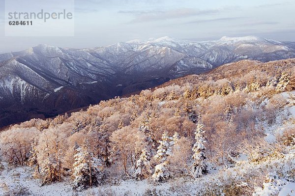 bedecken  über  Sonnenaufgang  Iwate  Asien  Hachimantai  Japan  Schnee