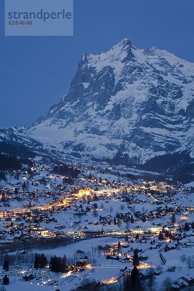 Europa  Westalpen  Berner Oberland  Grindelwald  Schweiz