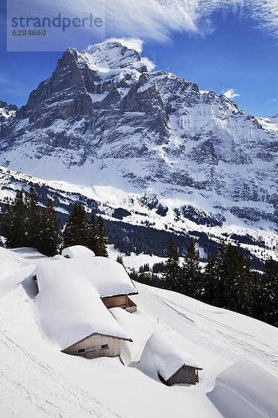 Europa Westalpen Berner Oberland Grindelwald Schweiz Schweizer Alpen