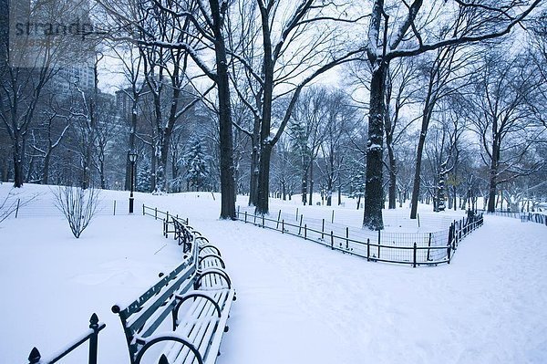 Vereinigte Staaten von Amerika  USA  New York City  Morgen  Blizzard  früh  Nordamerika  Ansicht  Mittelpunkt  New York State
