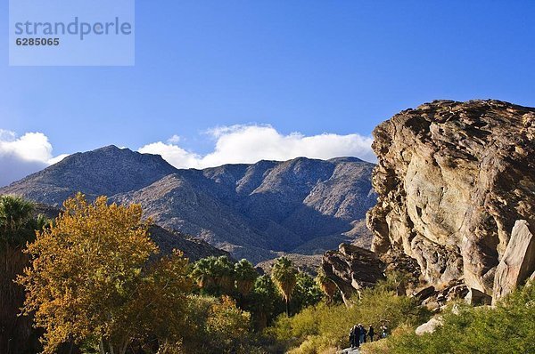 Vereinigte Staaten von Amerika  USA  Nordamerika  Kalifornien  Palm Springs