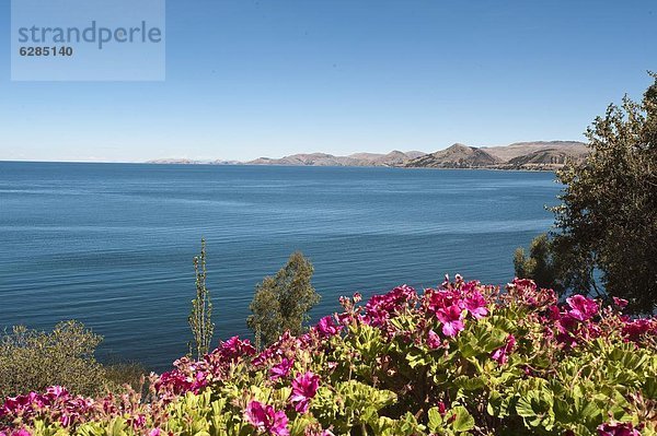 Titicacasee  Peru  Südamerika