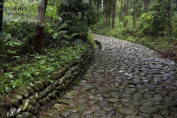 Stein  strecken  Fernverkehrsstraße  Tokyo  Hauptstadt  Pflasterstein  Pflaster  sprechen  Japan  Kyoto  alt  Shizuoka
