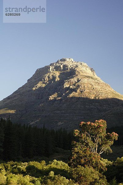 Südliches Afrika  Südafrika  Afrika