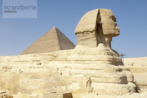 Sphinx  Giza  UNESCO Weltkulturerbe  in der Nähe von Kairo  Ägypten  Nordafrika  Afrika