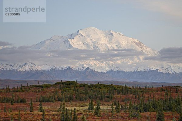 Vereinigte Staaten von Amerika  USA  Sonnenuntergang  Berg  Denali Nationalpark  Mount McKinley  Alaska