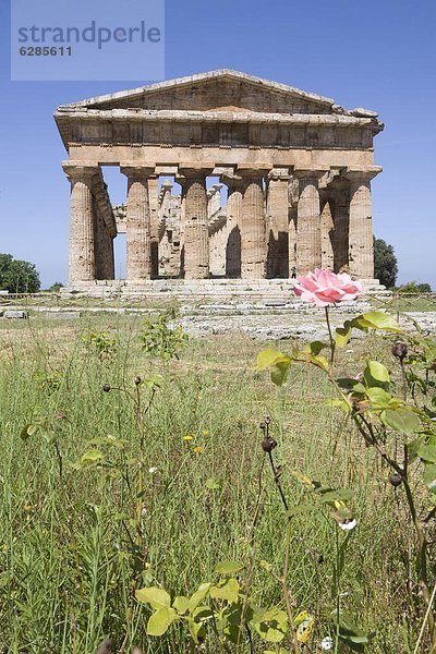 Europa  UNESCO-Welterbe  Kampanien  Italien  Paestum