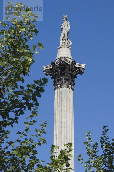 Nelsons Spalte  Trafalgar Square  London  England  Großbritannien  Europa