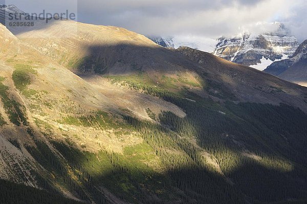 Nordamerika  Rocky Mountains  Jasper Nationalpark  UNESCO-Welterbe  Alberta  Kanada