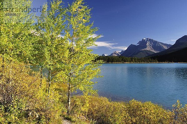 Nordamerika  Rocky Mountains  Banff Nationalpark  UNESCO-Welterbe  Alberta  Kanada