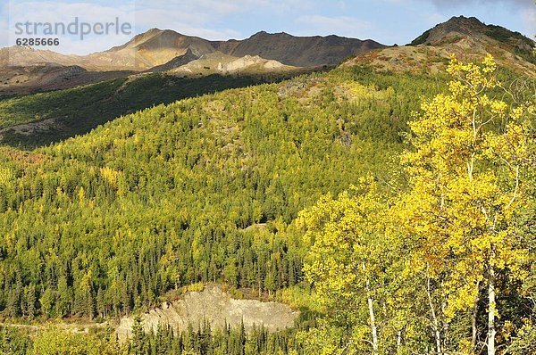 Vereinigte Staaten von Amerika  USA  Nordamerika  Alaskakette  Alaska Range  Alaska