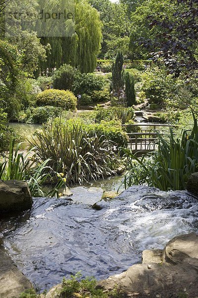 Teich und Wasserfall in Queen Marys Gardens  Regents Park  London  England  Großbritannien  Europa