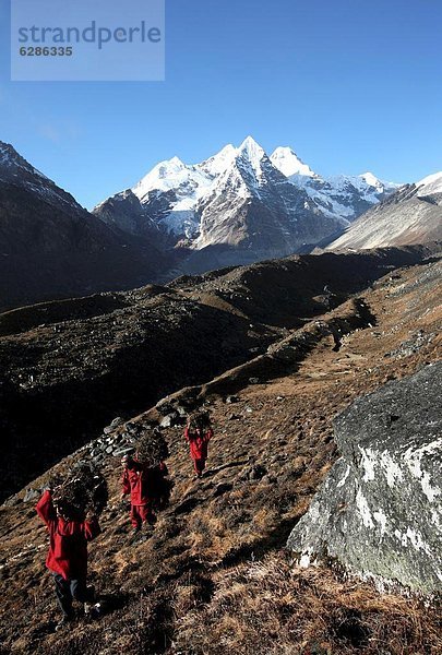 Feuerholz hoch oben Berg tragen über Dorf 3 fünfstöckig Buddhismus Himalaya Mönch