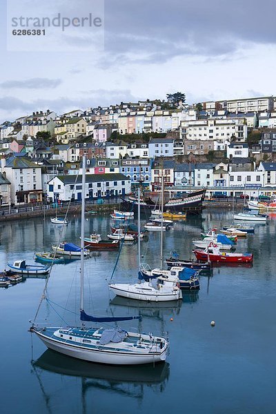 Europa  Großbritannien  Brixham  Devon  England