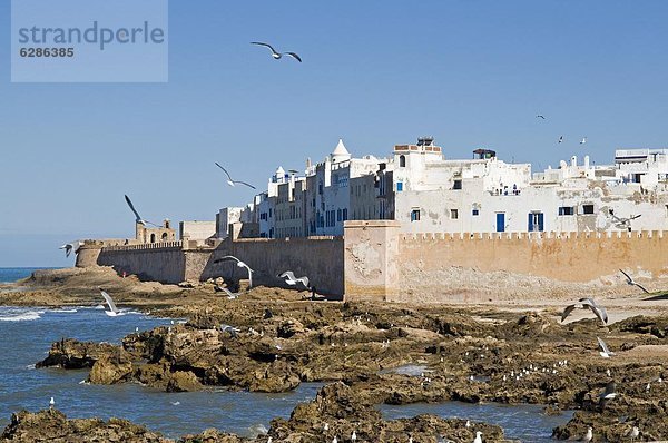 Blick auf die Stadtmauern der Altstadt  UNESCO Weltkulturerbe  Essaouira  Marokko  Nordafrika  Afrika