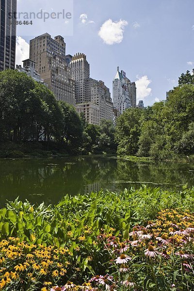 Vereinigte Staaten von Amerika  USA  Nordamerika  New York City  Central Park  Manhattan