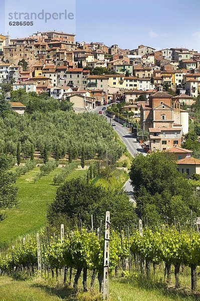 Europa  Italien  Toskana