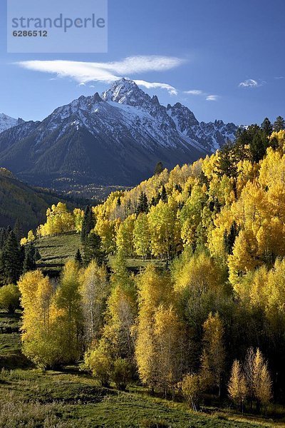 Vereinigte Staaten von Amerika  USA  nahe  Farbaufnahme  Farbe  Nordamerika  Mount Sneffels  Colorado  Dallas  teilen