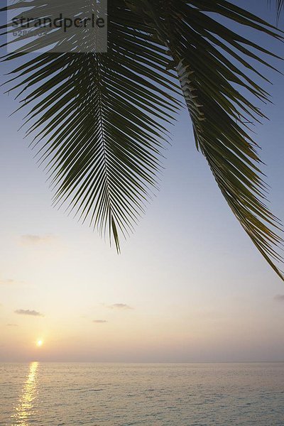Sonnenaufgang  Malediven  Asien  Indischer Ozean  Indik