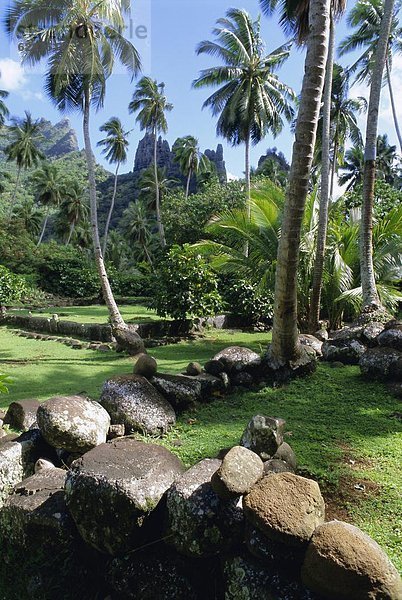 Pazifischer Ozean  Pazifik  Stiller Ozean  Großer Ozean  Französisch-Polynesien