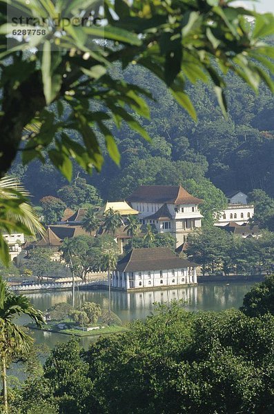 Gebäude Buddha Kandy Reliquie Sri Lanka