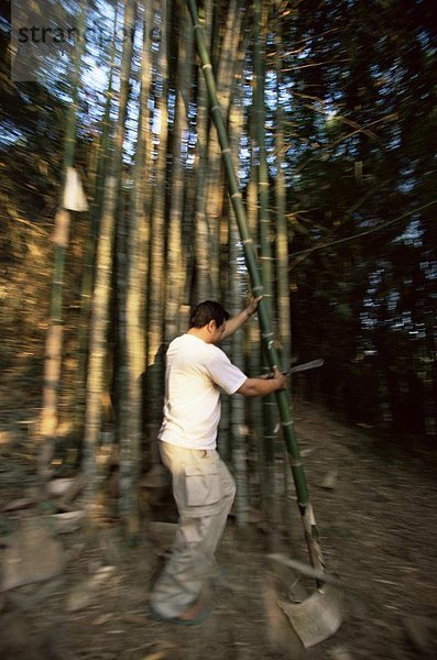 Südostasien  Vietnam  Asien  Laos