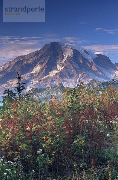 Vereinigte Staaten von Amerika  USA  Landschaft  Nordamerika  Mount Rainier Nationalpark  Washington State