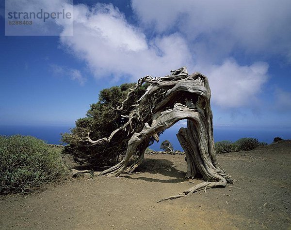 Europa  Kanaren  Kanarische Inseln  El Hierro  Spanien