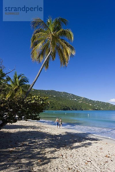 Strand  Wahrzeichen  Karibik  Westindische Inseln  Mittelamerika  Bucht  Virgin Islands