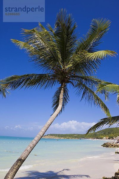 Strand  Wahrzeichen  Insel  Karibik  Westindische Inseln  Mittelamerika  Leeward Islands
