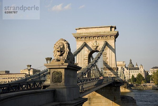 Budapest  Hauptstadt  Europa  über  Brücke  Fluss  Donau  Ungarn