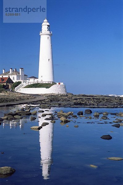 Europa  Großbritannien  Leuchtturm  England  Tyne and Wear  Whitley Bay