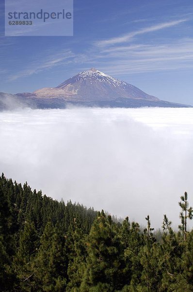 Kanaren  Kanarische Inseln  Spanien  Teneriffa