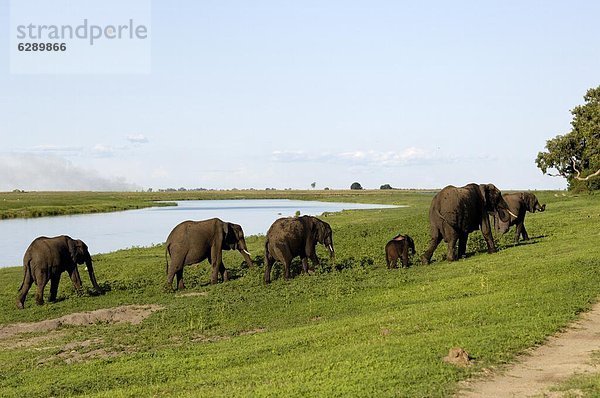 Afrika  Botswana