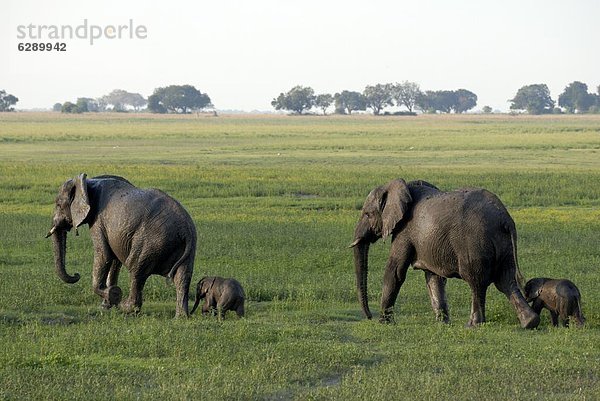 Afrika  Botswana