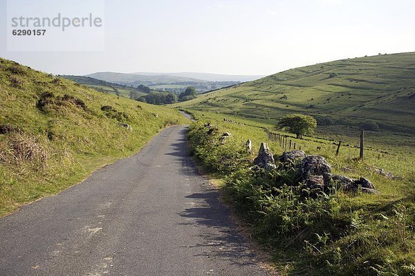 Landstraße  Europa  Großbritannien  Devon  England