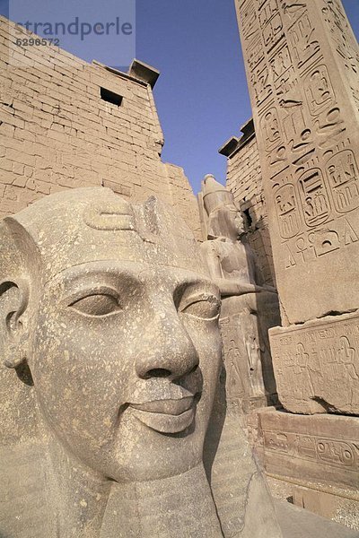 Nordafrika  Statue  UNESCO-Welterbe  Afrika  Ägypten  Luxor Tempel